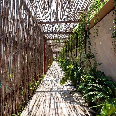 Natu Boutique Stays São Miguel dos Milagres Exteriör bild